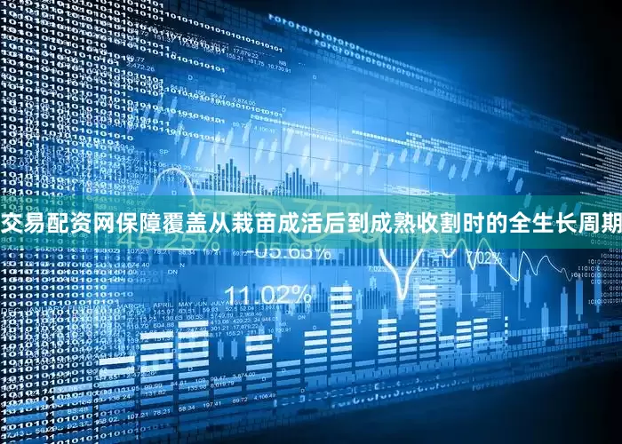 交易配资网保障覆盖从栽苗成活后到成熟收割时的全生长周期