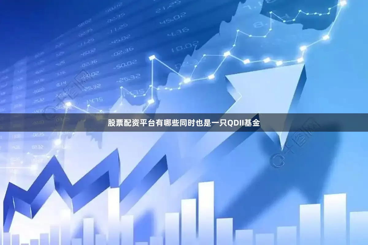 股票配资平台有哪些同时也是一只QDII基金