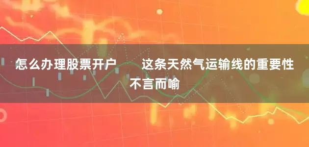 怎么办理股票开户       这条天然气运输线的重要性不言而喻