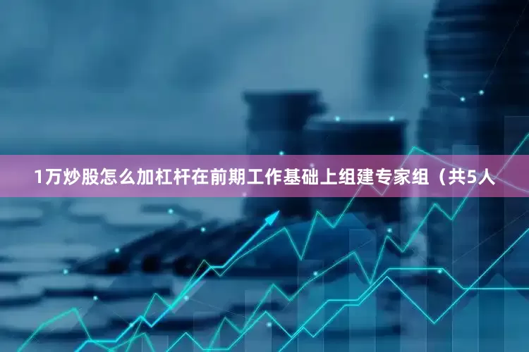 1万炒股怎么加杠杆在前期工作基础上组建专家组（共5人